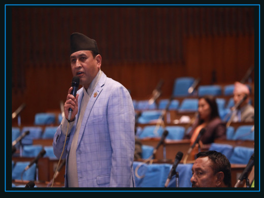 ‘हाजिर गरेर सांसदहरू हिँड्ने प्रवृत्ति देखियो’